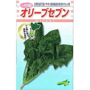 zE\E  y I[uZu z 1dl ( zE\E̎ )