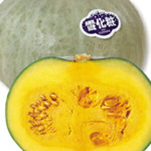 �J�{�`�� �� �y �z�N�z�N����J�{�`���@�ቻ�� �z ���珬�� ( �J�{�`���̎� )