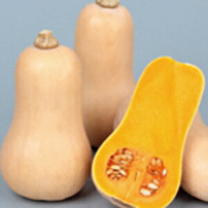 �J�{�`�� �� �y �H�ׂ���o�^�[�i�b�c�J�{�`���@�܂날�� �z ���珬�� ( �J�{�`���̎� )