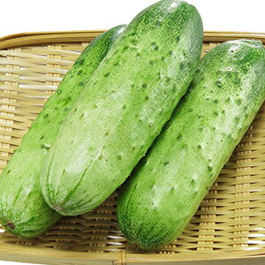 LE  y ςV z  ( LE̎ )