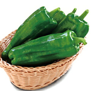 s[}  y Ws[ z ܁i30j ( s[}̎ )