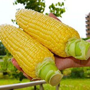 �g�E�����R�V �� �y ��������83 �z 200�� ( �g�E�����R�V�̎� )