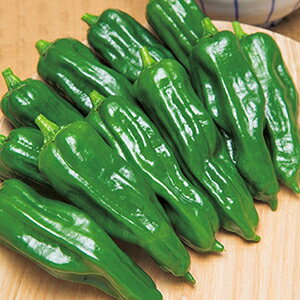 s[}  y RȂƂ炵 z  ( s[}̎ )