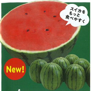 XCJ  y smEK[ z (5) ( XCJ̎ )