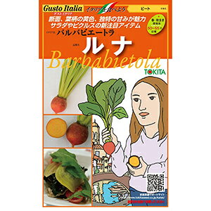カブ 種 【 バルバビエートラ ルナ 】 1000粒 ( カブの種 )