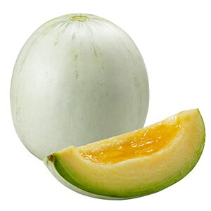   y avXSiVo[j@ z ܁i10j ( ̎ )