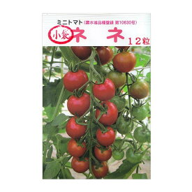 トマト 種 【 ミニトマト　ネネ 】 小袋（12粒） ( トマトの種 )