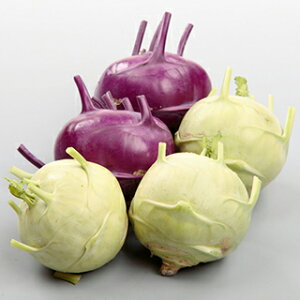 �L���x�c �� �y �T���_�R�[�����r�@���r�I�ƃ��r�R �z ���珬�� ( �L���x�c�̎� )