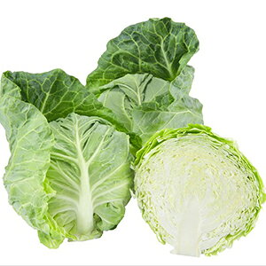 �L���x�c �� �y �t�����i�͂�����j �z ���܁i1ml�j ( �L���x�c�̎� )