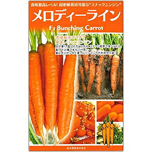 jW  y fB[C z  (700) ( jW̎ )