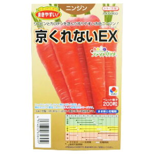 ɂ񂶂  y ȂEX z ybg200 i   ؎q ؎ j