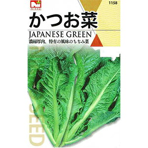 tؗ  y  z  ( tؗނ̎ )