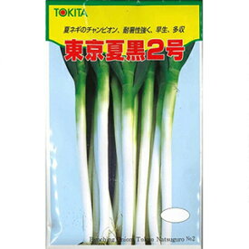ネギ 種 【 東京夏黒2号 】 種子 小袋（約20ml） （ 種 野菜 野菜種子 野菜種 ）