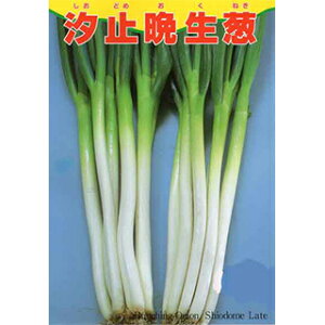 lM  y ~Ӑ z q ܁i20mlj i   ؎q ؎ j 