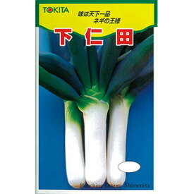 ネギ 種 【 下仁田 】 種子 小袋（約10mL） （ 種 野菜 野菜種子 野菜種 ）