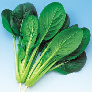   yĂ킩ȁz 2dl i   ؎q ؎ j