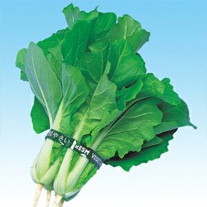 ׂ  y ׂ z q 2dl i   ؎q ؎ j