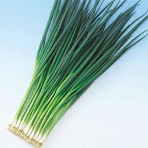 lM  y ~ z q ܁i20mlj i   ؎q ؎ j