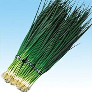 lM  y R z q 2dl i   ؎q ؎ j