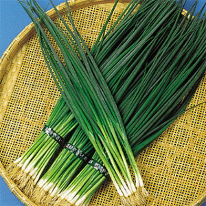 lM  y  (~p) z q ܁i20mlj i   ؎q ؎ j