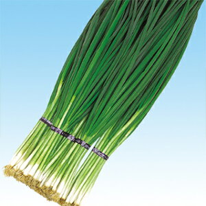 lM  y W z q ܁i2dlj i   ؎q ؎ j