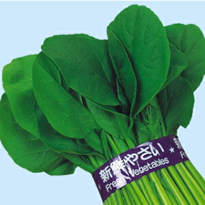   y]˂̏z 2dl i   ؎q ؎ j