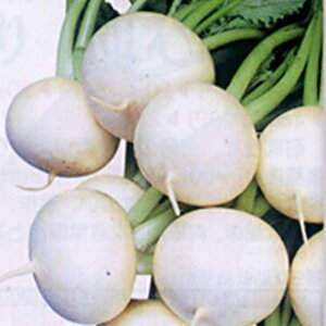 Ju  y 䂫 z q 1dl i   ؎q ؎ j