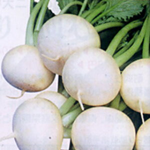 Ju  y 䂫 z q 2dl i   ؎q ؎ j