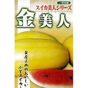 XCJ  ylz 100 i   ؎q ؎ j