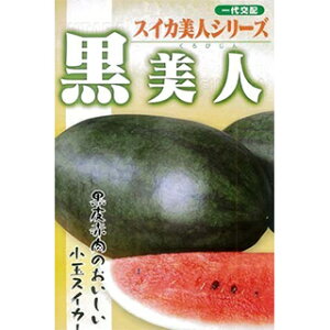 XCJ  ylz 100 i   ؎q ؎ j