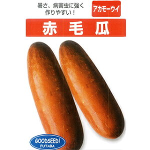 E  y ԖщZ z q 1dl i   ؎q ؎ j