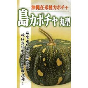 ڂ  y꓇ڂی^z 20ml i   ؎q ؎ j