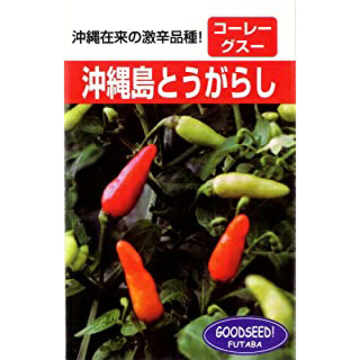 割引も実施中 唐辛子の種 沖縄島とうがらし ml 野菜の種 Megjc Gov Jm