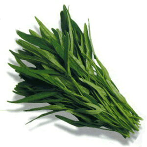 GTC  y ȂT_ z q ܁i1dlj i   ؎q ؎ j