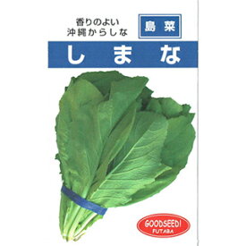 高菜・からし菜 種 【 しまな 】 種子 小袋（約1dl） （ 種 野菜 野菜種子 野菜種 ）