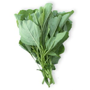 y 낱 z q ܁i1dlj i   ؎q ؎ j