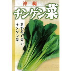 ちんげん菜 種 【 沖縄長茎ちんげんさい 】 種子 小袋（約10ml） （ 種 野菜 野菜種子 野菜種 ）