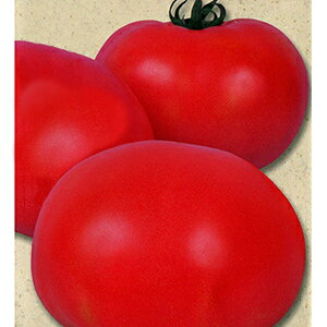 �g�}�g �� �y ��^���� �z ���܁i0.8ml�j ( �g�}�g�̎� )