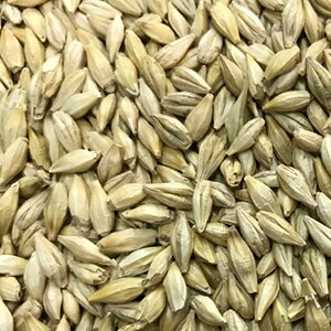 唞  y 唞t@Co[XmE z 1kg ( 唞̎ ) io^ԍF11236 o^i햼Ft@Co[XmE COo֎~ii_HPjQƁj