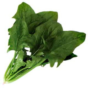 zE\E  y  z 1L ( zE\E̎ )