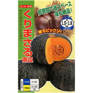 ���ڂ��� �� �y����܂���z 100�� �i �� ��� ��؎�q ��؎� �j