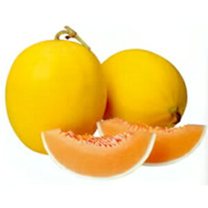   yVOiz 100 i   ؎q ؎ j