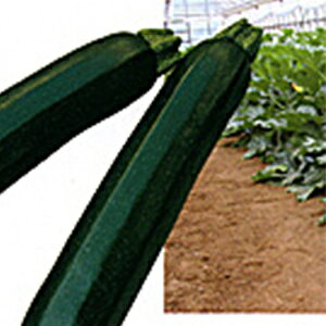 YbL[j  y KZ|2 z 100 ( YbL[j̎ )