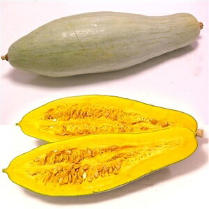 �J�{�`�� �� �y ��˂��ڂ��� �z ���� ( �J�{�`���̎� )