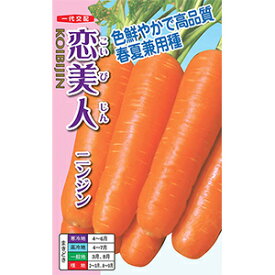 ニンジン 種 【 恋美人 】 小袋（4ml） ( ニンジンの種 )