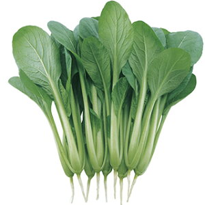 R}ci  y  z ܁i6mlj ( R}ci̎ )