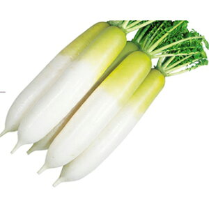 _CR  y Ȃ炵 z 20ml ( _CR̎ )