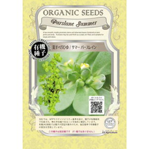 ĂׂЂ  y T}[p[XC z  ( ĂׂЂ̎ )