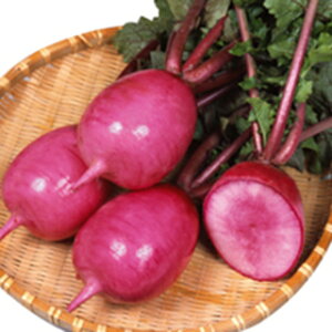 _CR  y  z  ( _CR̎ )