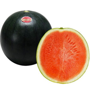 XCJ  y ȂXCJ ׂق z 100 ( XCJ̎ )